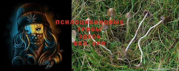 круглые Медвежьегорск