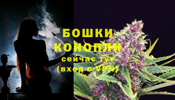 ГАЛЛЮЦИНОГЕННЫЕ ГРИБЫ Мегион