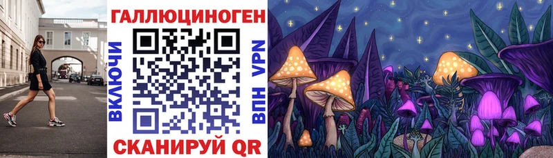 Галлюциногенные грибы Magic Shrooms  Ковров 