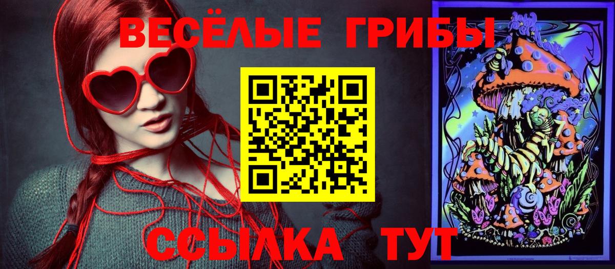 Псилоцибиновые грибы прущие грибы  Вход с VPN  Галлюциногенные грибы мицелий  Ковров 
